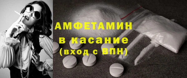 шишки Новодвинск