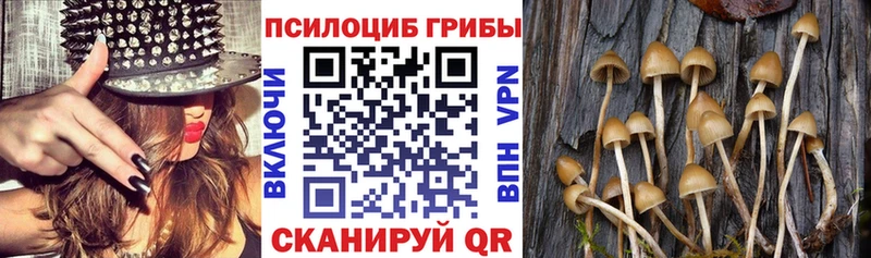 Псилоцибиновые грибы прущие грибы  купить наркоту  Магадан 